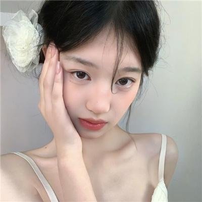 双生赤狐